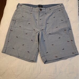 J. Crew Light Blue Patterned Men's Shorts